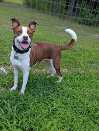 Penelope - Photo 7