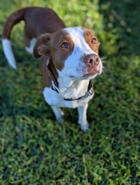 Penelope - Photo 3