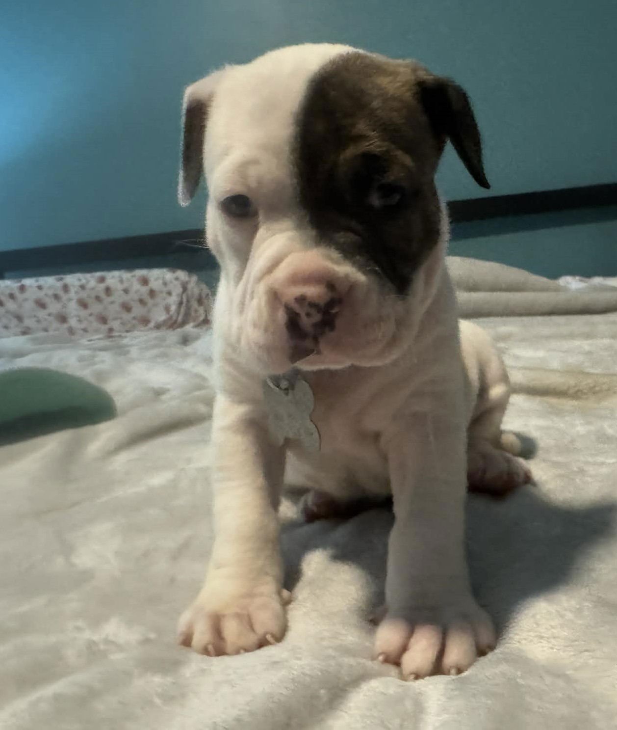 Diesel - The Wrecking Crew - Photo 3