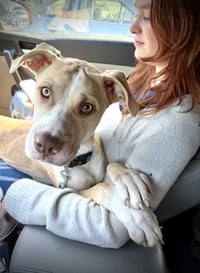 Nala - Photo 4