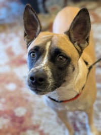 Mackey - Photo 2