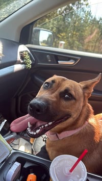 Miss Marley - Photo 3