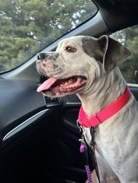 Skyler "Sky" - Photo 2