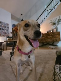 Willow Mae - Photo 8