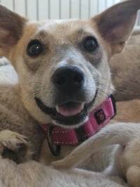 Willow Mae - Photo 4