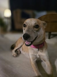 Willow Mae - Photo 7
