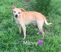Manny - Photo 2