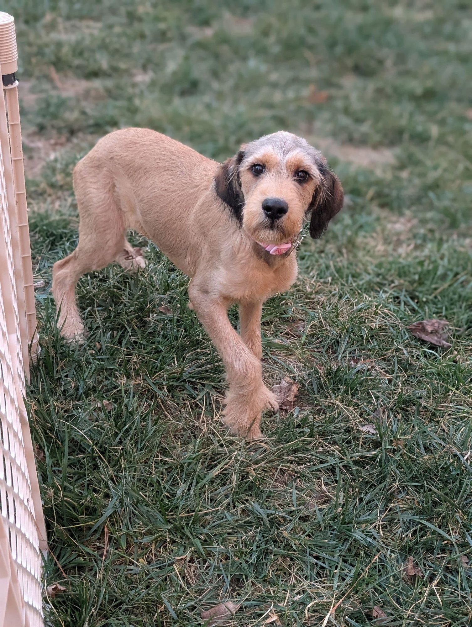 Hazel Louise - Photo 3