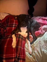 Neriah - Louisiana Litter - Photo 9
