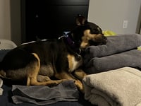 Clover (courtesy listing) - Photo 4