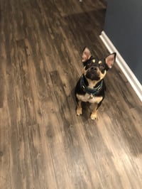 Clover (courtesy listing) - Photo 3
