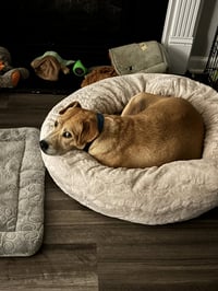 Momma - Photo 11