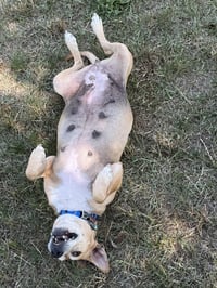 Momma - Photo 2