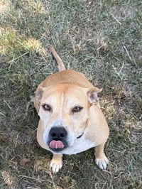 Momma - Photo 3