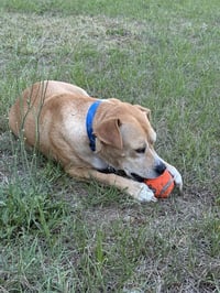 Momma - Photo 6