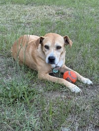 Momma - Photo 7