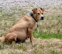 Momma - Photo 16