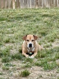 Momma - Photo 13