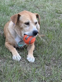 Momma - Photo 5