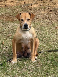 Momma - Photo 17