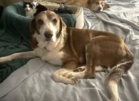 Maggie Pearl - Hospice Only - Photo 3