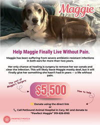 Maggie Pearl - Hospice Only - Photo 2