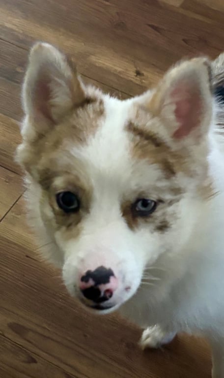 Murph Image