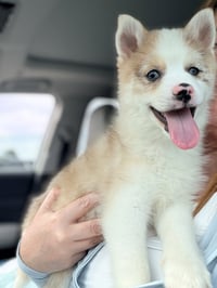 Murph - Photo 2