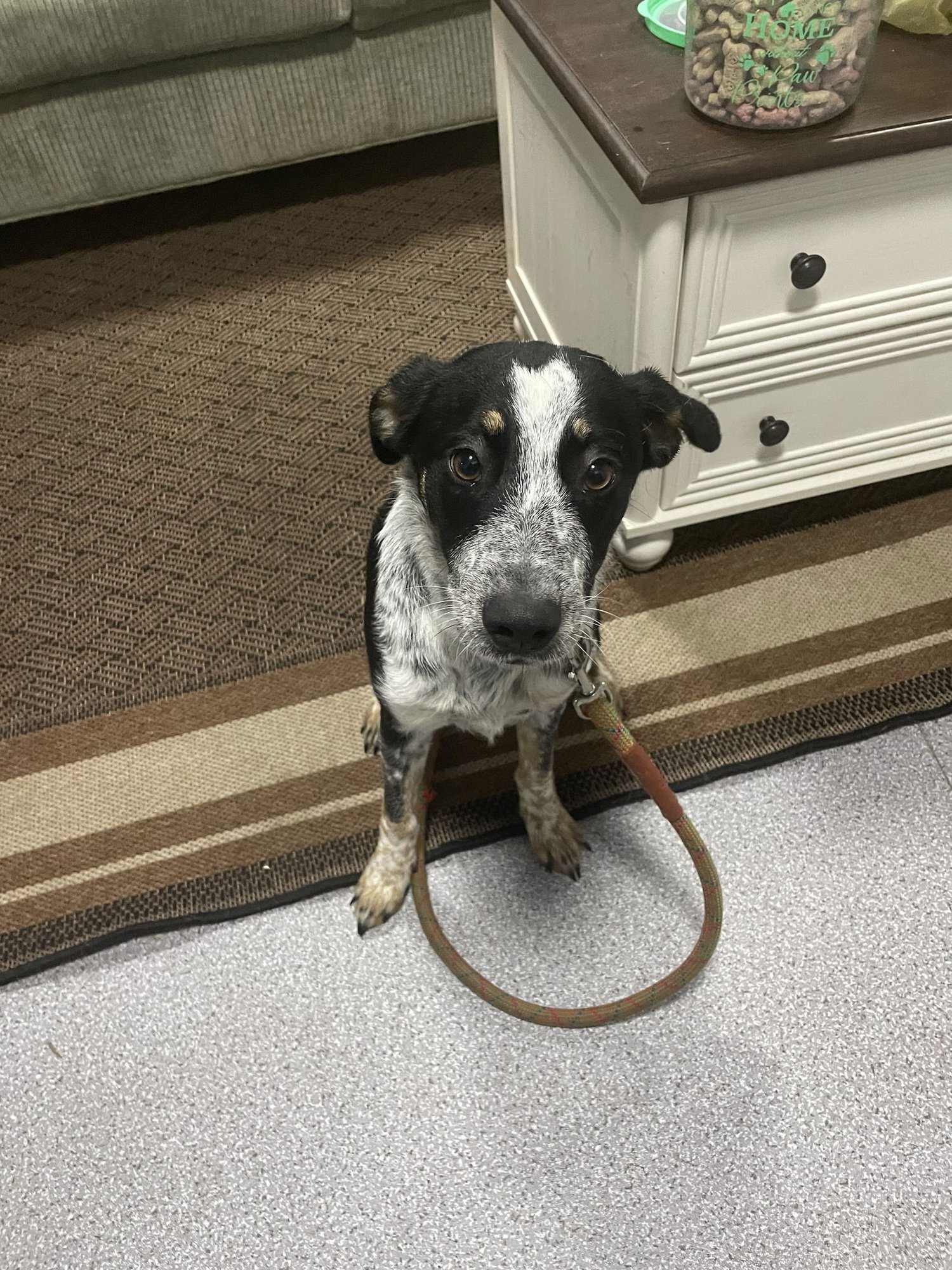 Sophia Grace - Photo 3