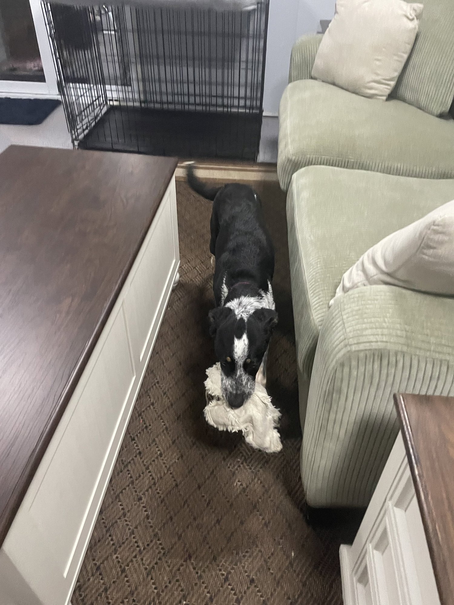 Sophia Grace - Photo 4