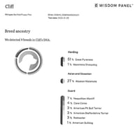 Cliff - Photo 8