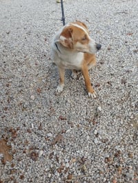 Reecie - Photo 3
