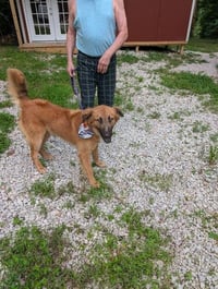 Spud - Photo 3