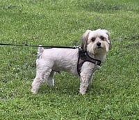 JAXXON - Photo 2
