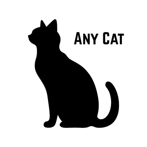 *A CAT 8 MONTHS AND OLDER - Unknown available for adoption