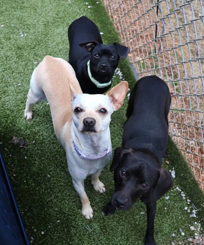 Angell Athens - Photo 3