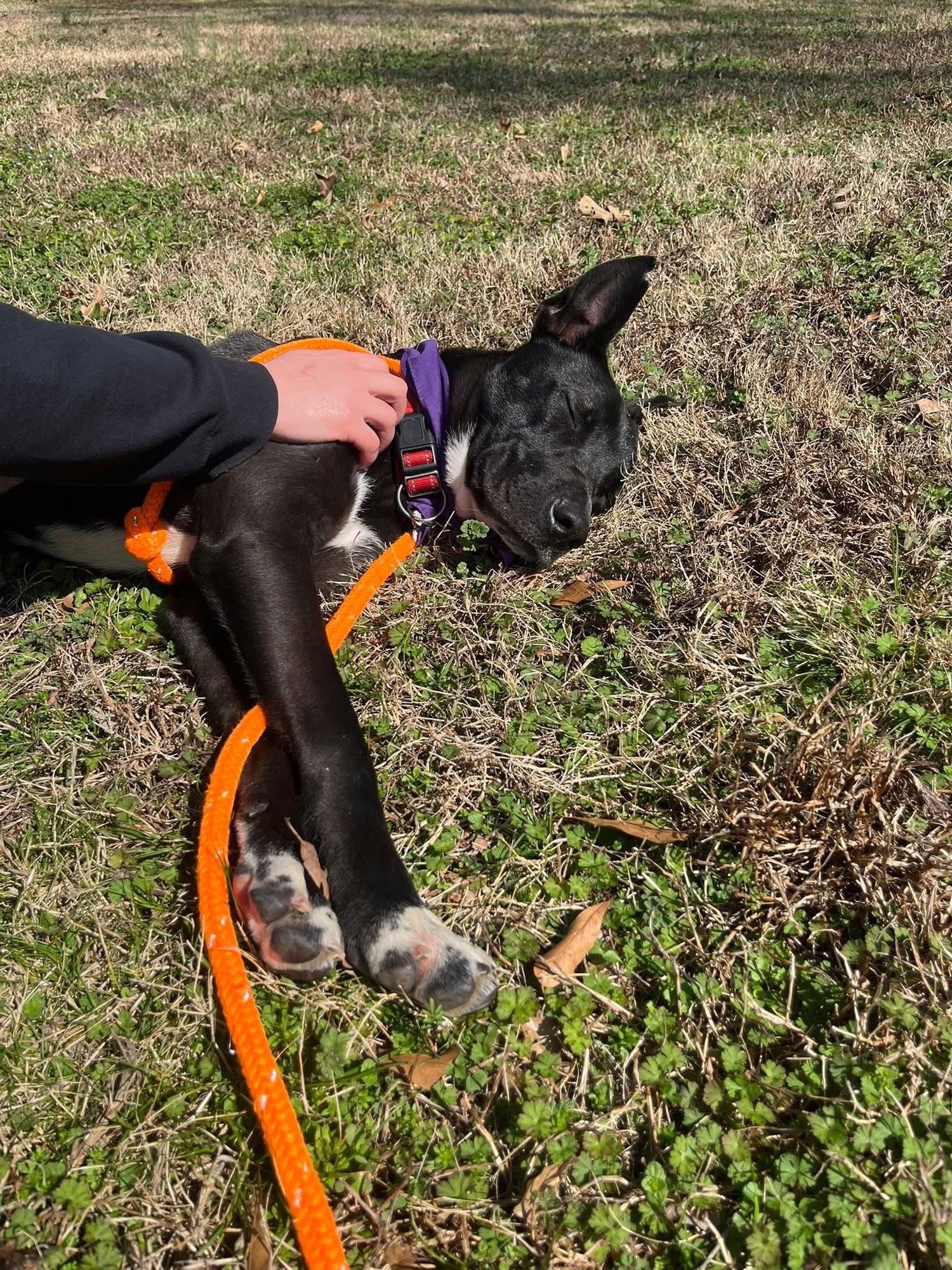 Mr Tux Athens - Photo 3