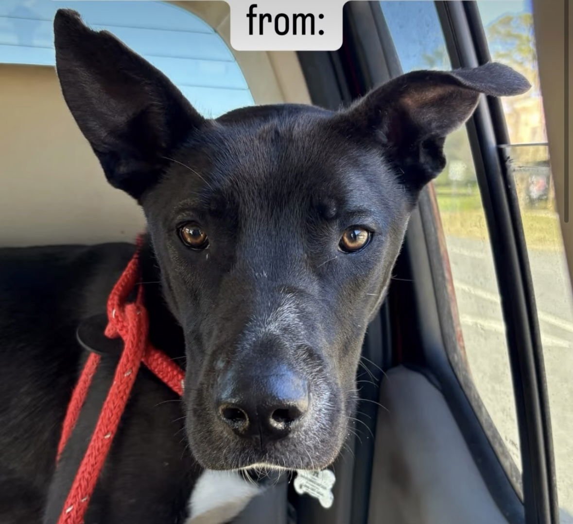 Mr Tux Athens - Photo 4