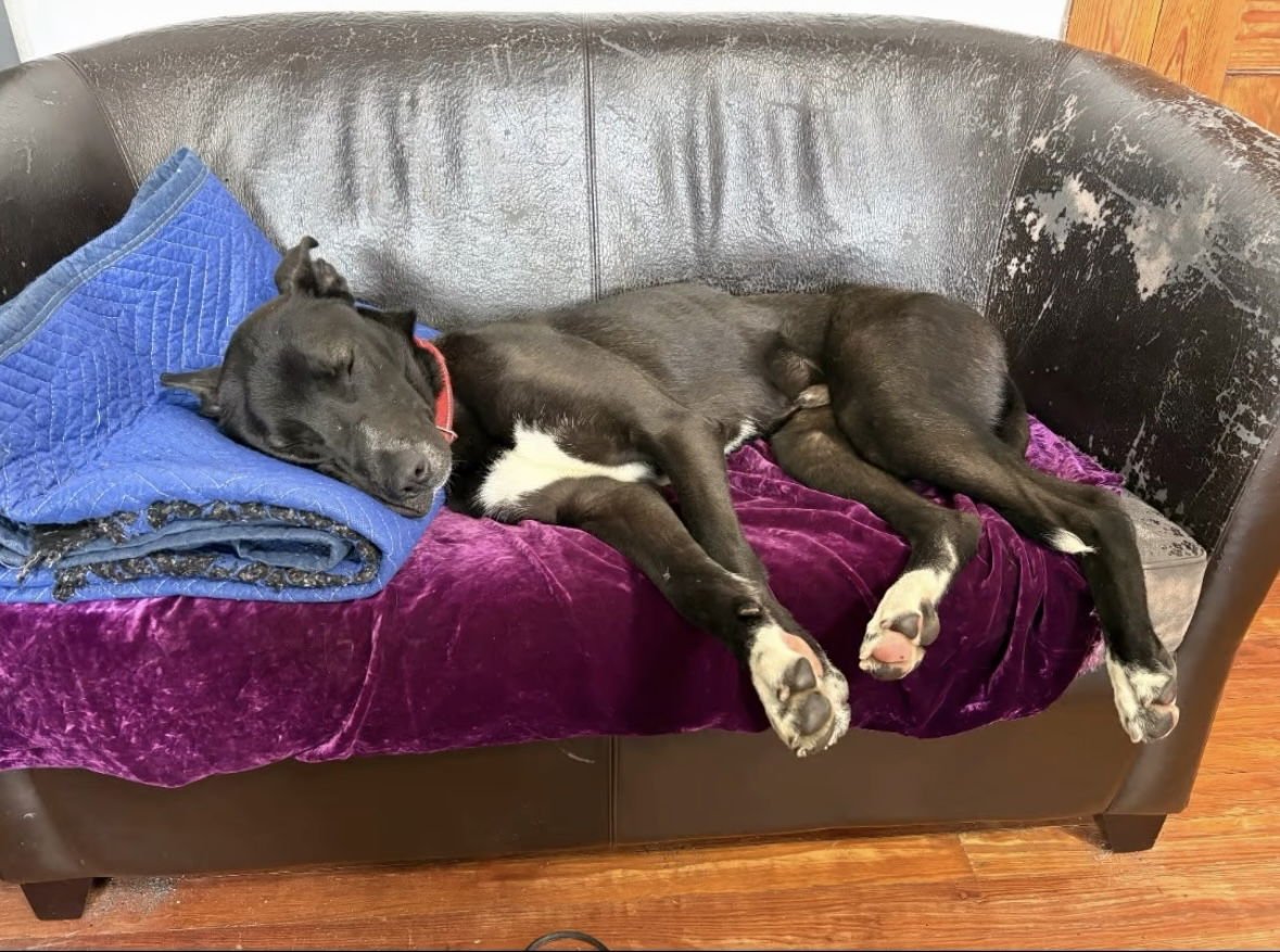 Mr Tux Athens - Photo 5