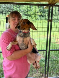 Tiny SCAS - Photo 4