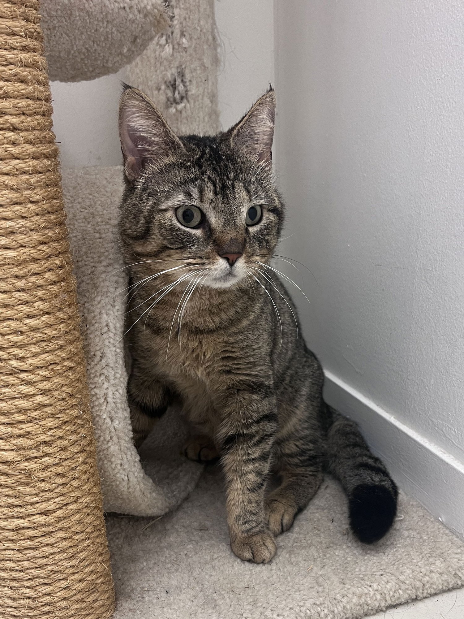 Stewart RM - Photo 3