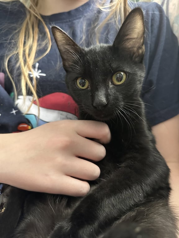 Zoey Image