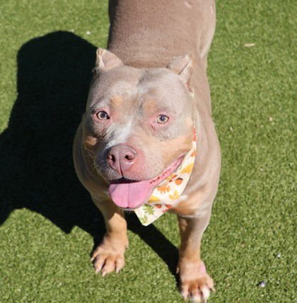 Lil Mama Athens - Photo 3