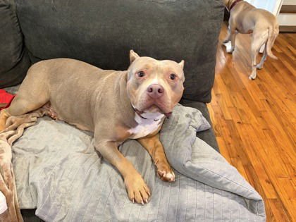 Lil Mama Athens - Photo 4