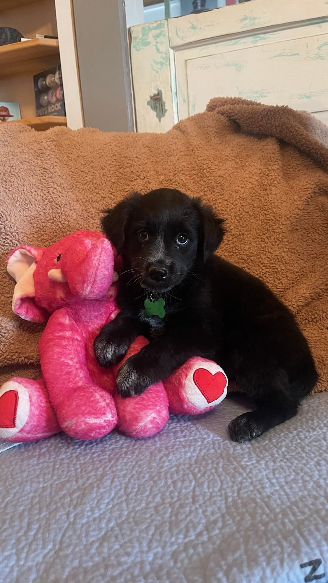 Sophie Lonestar - Photo 3