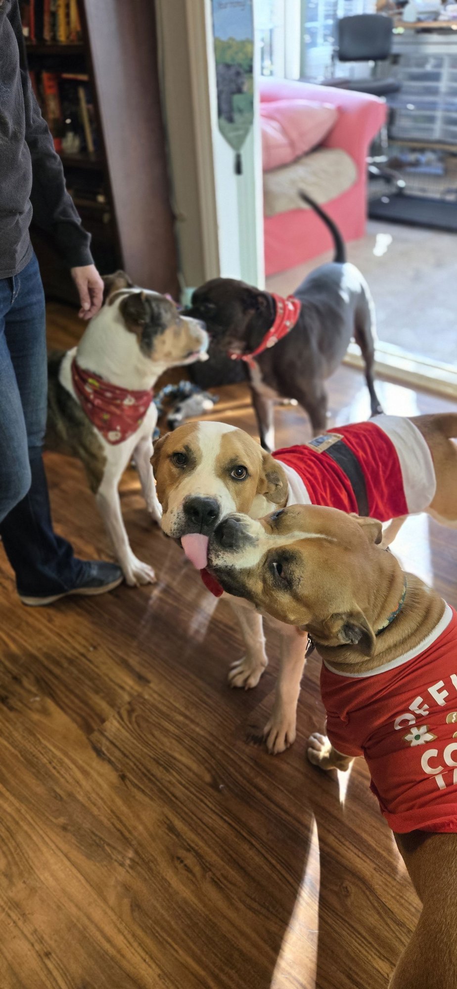 Mick Lizman - Photo 3