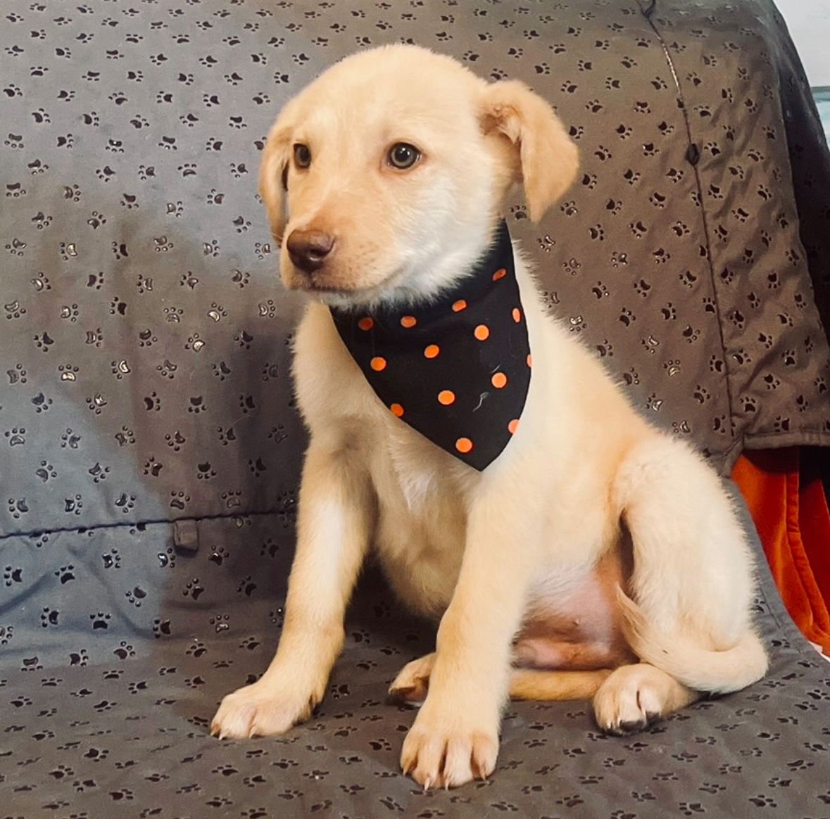 Garth Lonestar - Photo 3