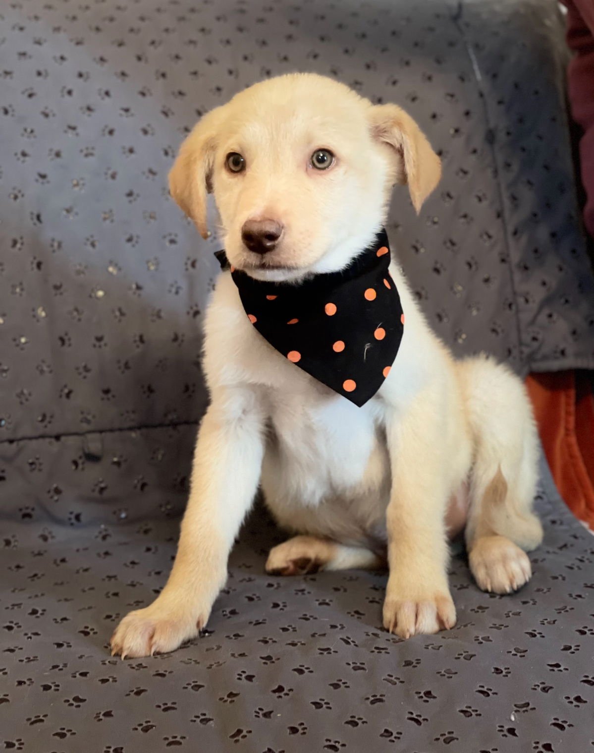 Garth Lonestar - Photo 4