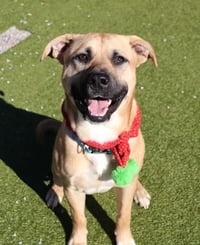 Doug Athens - Photo 12