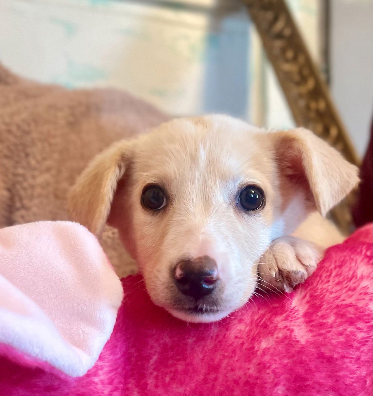 Ella Lonestar - Photo 3